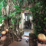 ที่เที่ยวจังหวัดสมุทรสงคราม ที่เที่ยวจังหวัดสมุทรสงคราม